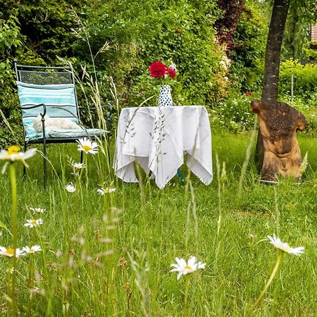 Gaestezimmer Cleo Uhldingen-Mühlhofen Dış mekan fotoğraf